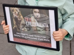 Плевен - протест срещу насилието над животни