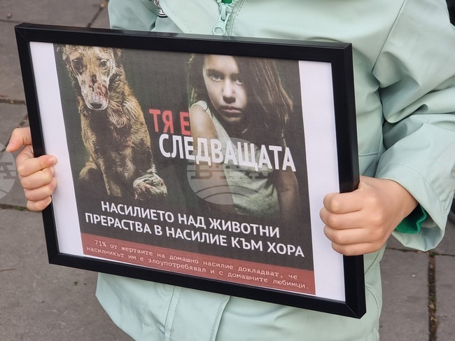 Плевен - протест срещу насилието над животни
