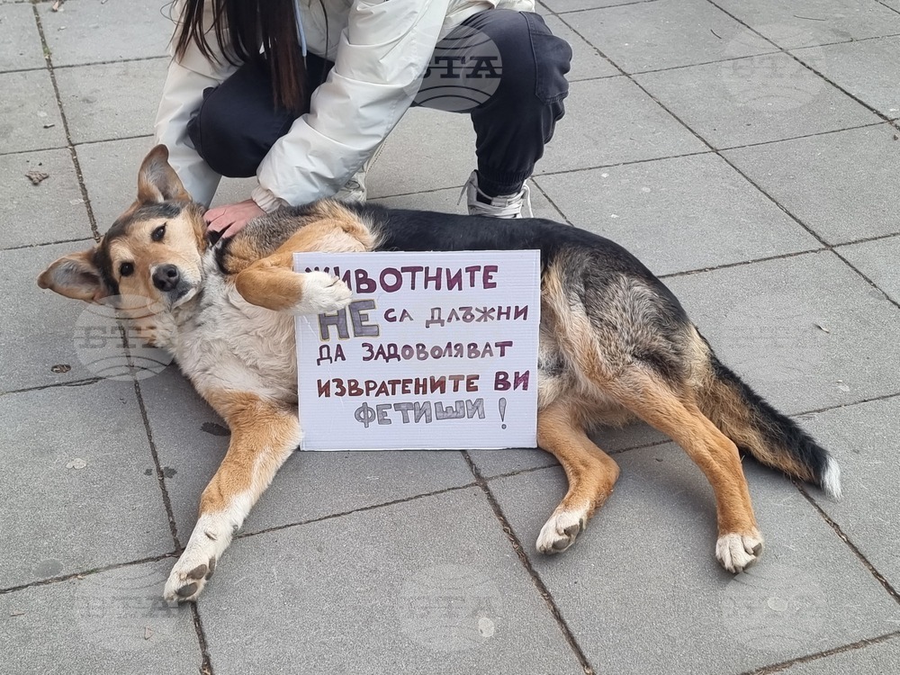 Плевен - протест срещу насилието над животни