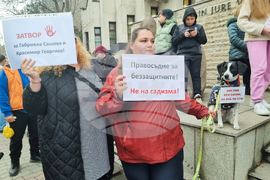 Велико Търново - протест в защита на животните