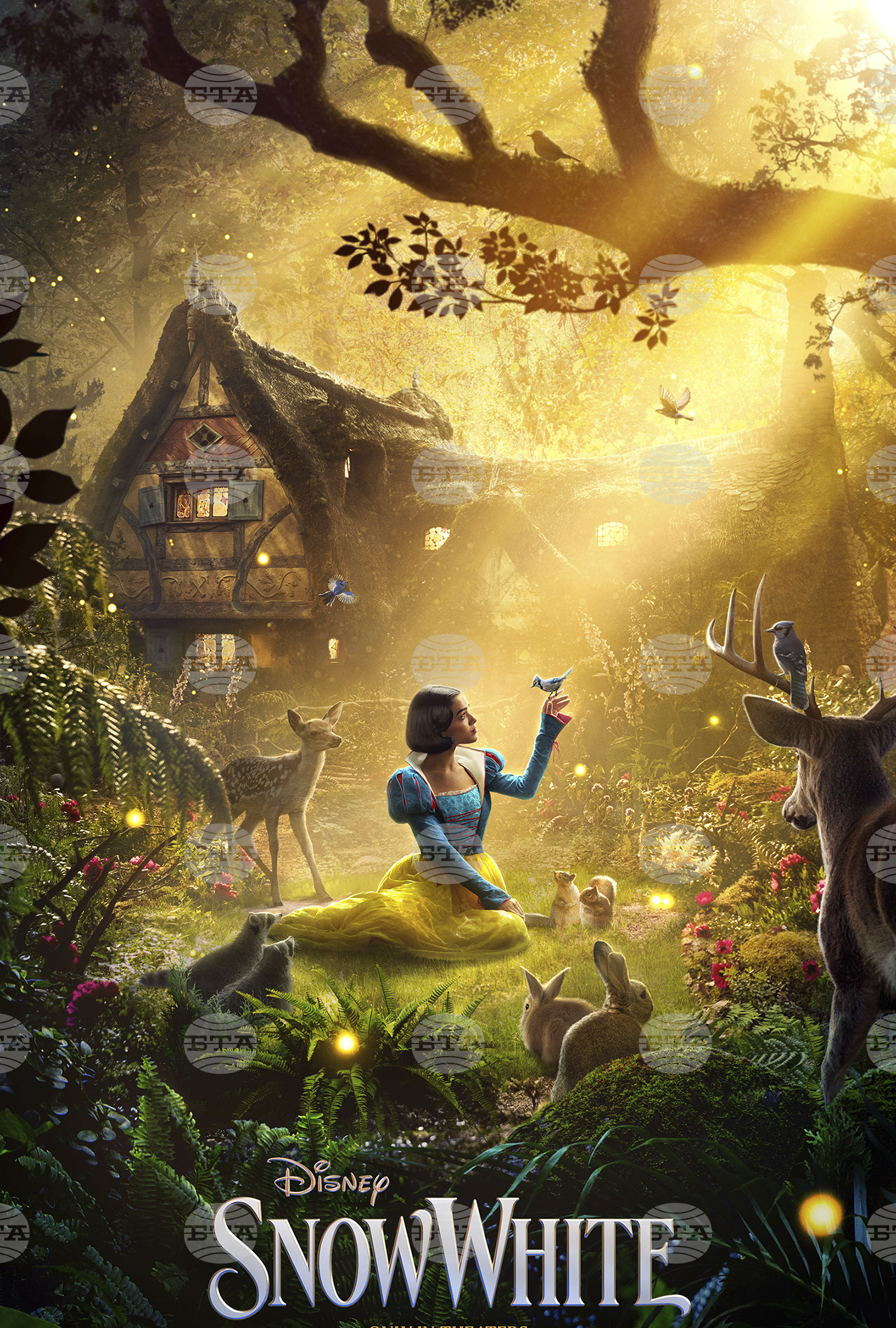 Film Review - Snow White