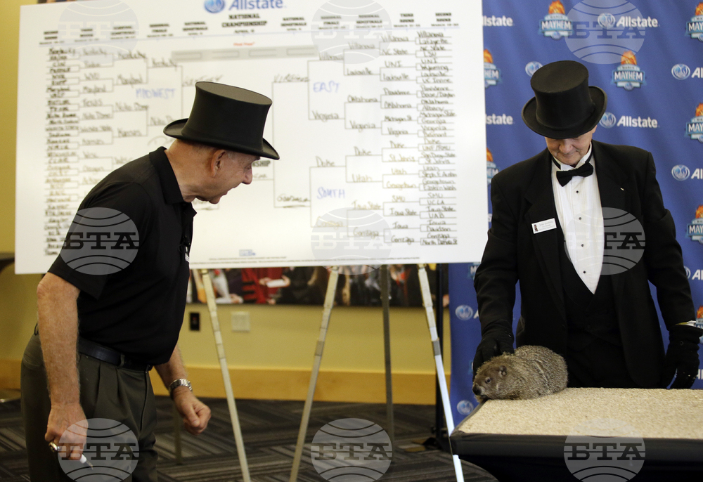NCAA Birth of the Bracket Basketball