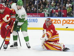 Flames Maple Leafs Hockey