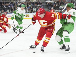 Flames Maple Leafs Hockey