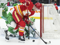 Flames Maple Leafs Hockey