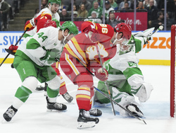 Flames Maple Leafs Hockey