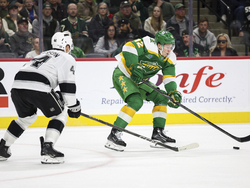 Kings Wild Hockey