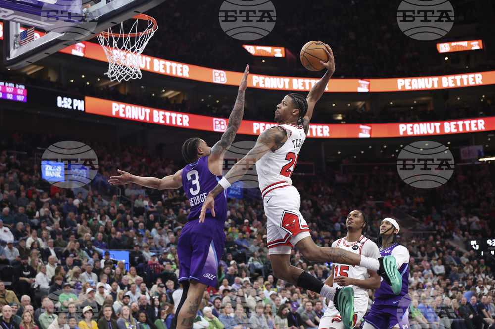 Bulls Jazz Basketball
