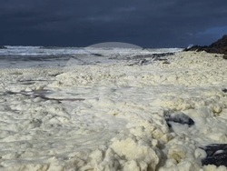 Australia Beach Foam