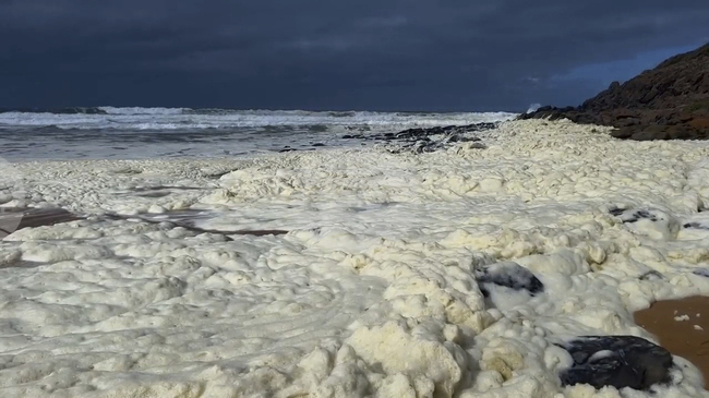 Странна пяна и мъртва риба се изхвърлят на австралийски плажове, а сърфисти се разболяват