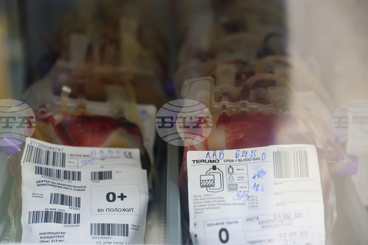 Over 600 People Donate Blood in Single Day for Victims in North Macedonia