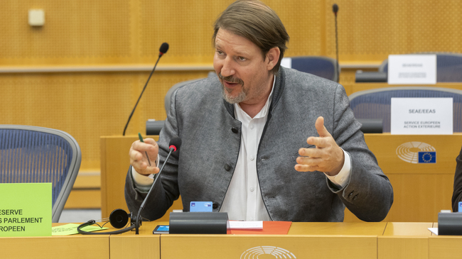 European Parliament Rapporteur on North Macedonia “Tried to Prepare Balanced Report”