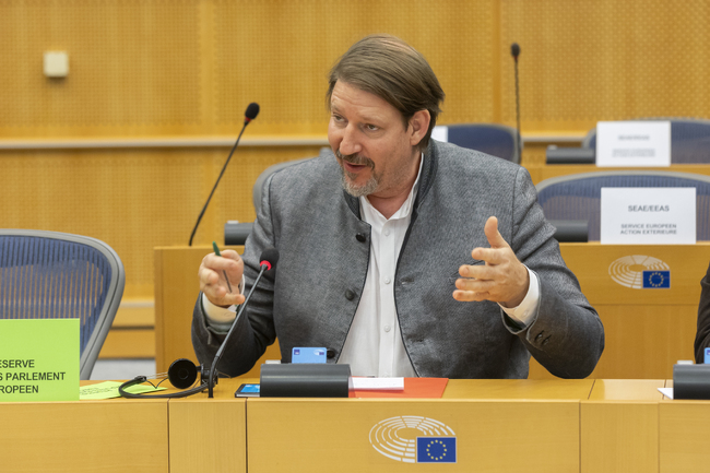 Skopje to Start Accession Talks Immediately after Constitutional Changes, EP Rapporteur Says