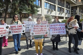Видин - протест срещу насилието над животни