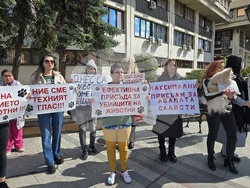 Видин - протест срещу насилието над животни