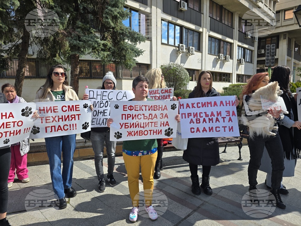 Видин - протест срещу насилието над животни