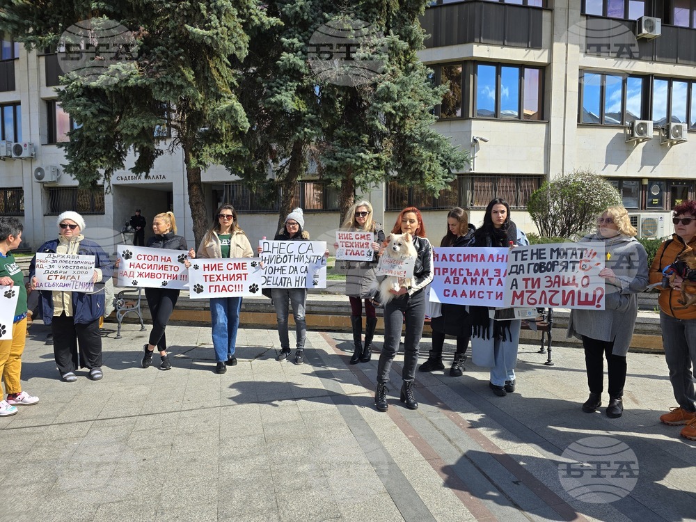 Видин - протест срещу насилието над животни