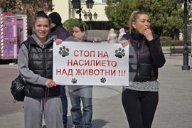 Видин - протест срещу насилието над животни