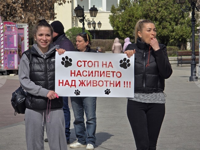  Видин - протест срещу насилието над животни