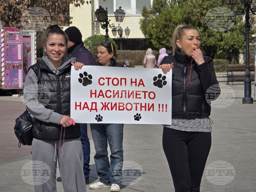 Видин - протест срещу насилието над животни