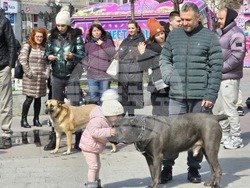 Видин - протест срещу насилието над животни