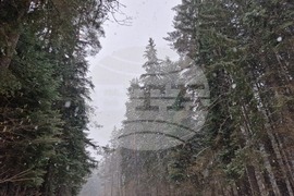 Курортен комплекс „Боровец” - сняг
