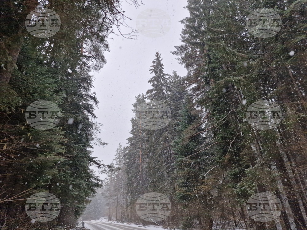 Курортен комплекс „Боровец” - сняг