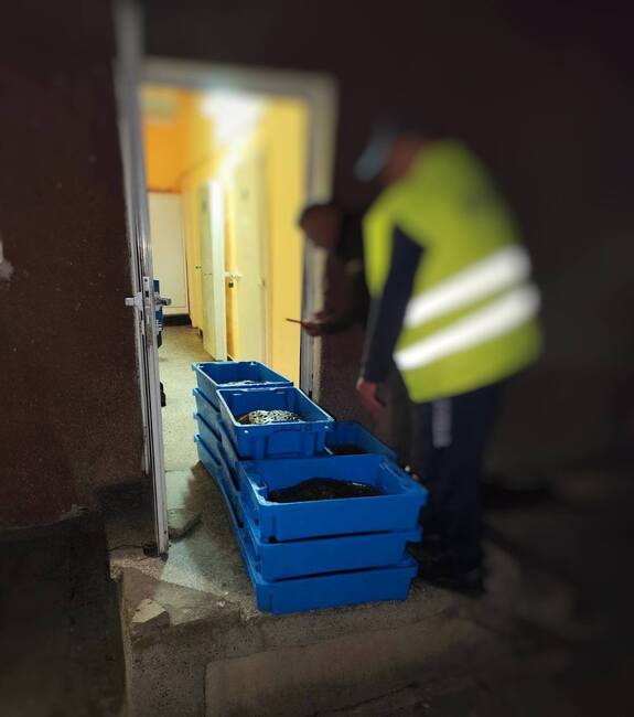 Над 105 килограма калкан без документи са открити в автомобил в района на село Крапец, община Шабла