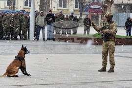 Пловдив - Парашутна дружина - 82 години