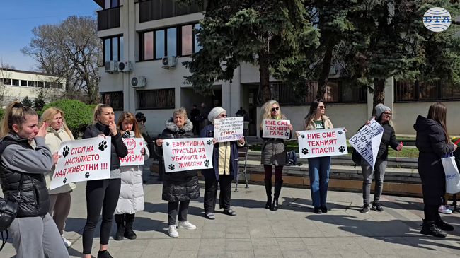 Видинчани протестираха срещу насилието над животни