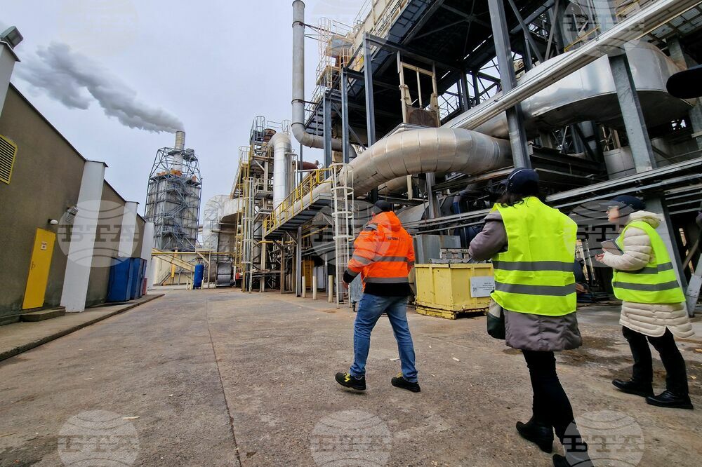 Industrial Production Index Down by 8.3% in March 2025, Y/Y