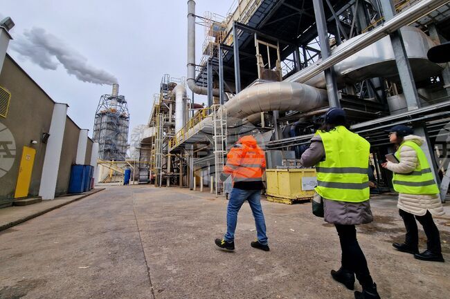 Industrial Production Index Down by 8.3% in March 2025, Y/Y