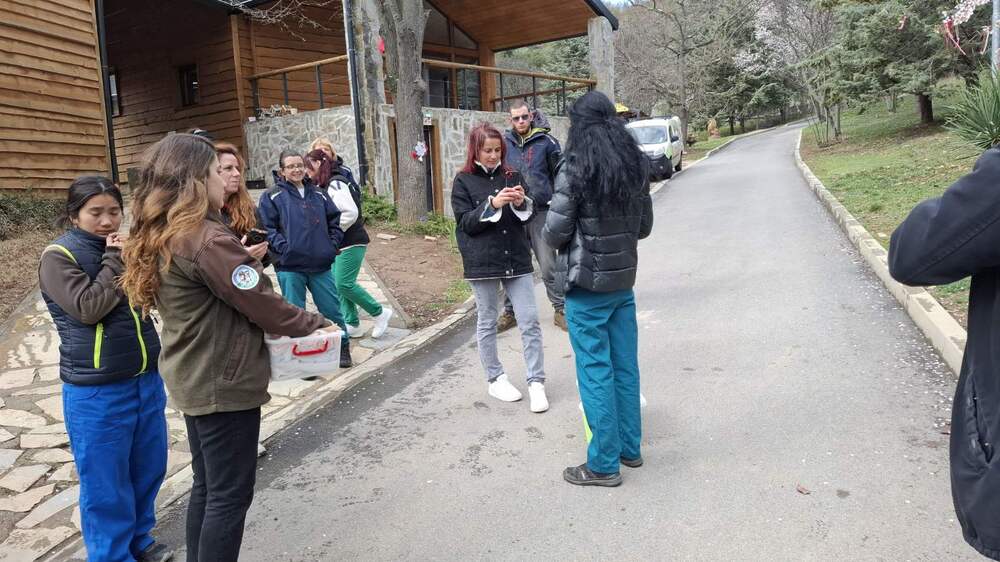 Излюпи се едно от двете яйца на белоглавите лешояди от Зоопарк Стара Загора