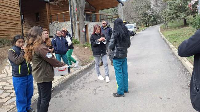 Излюпи се едно от двете яйца на белоглавите лешояди от Зоопарк Стара Загора