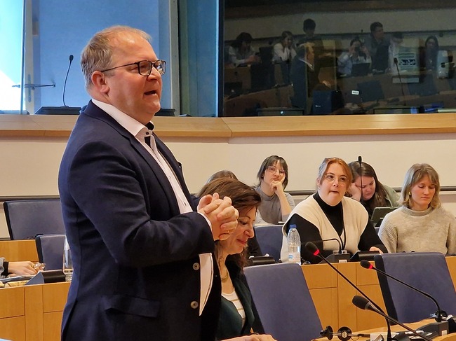 Със сигурност няма понятие като обща европейска армия, каза зам.-председателят на комисията по външни работи на ЕП