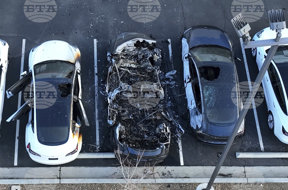 Musk Tesla Vandalism