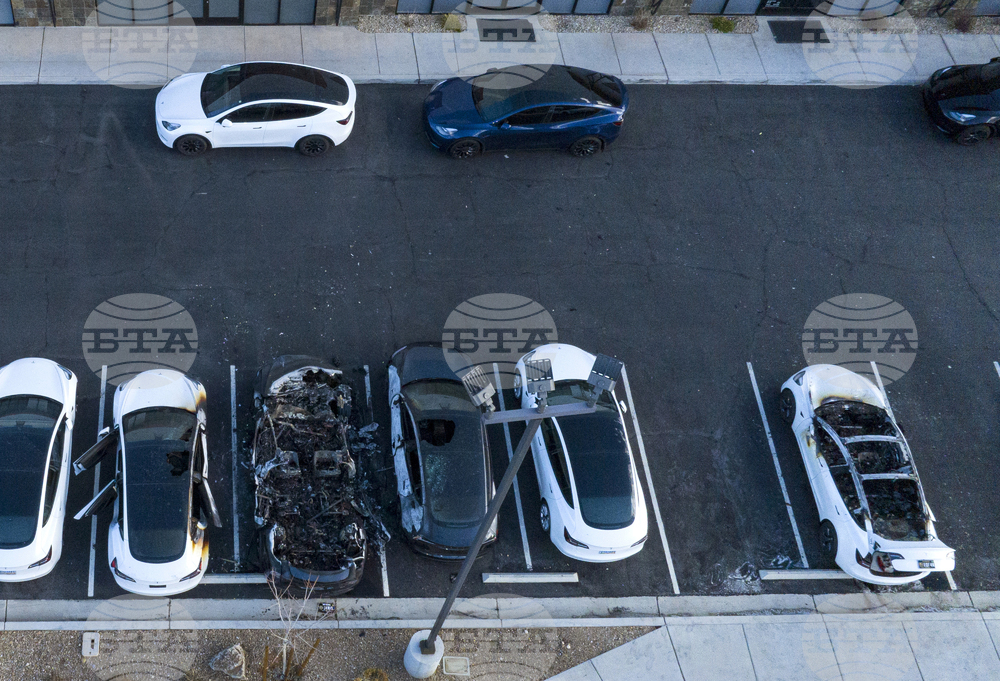 Musk Tesla Vandalism