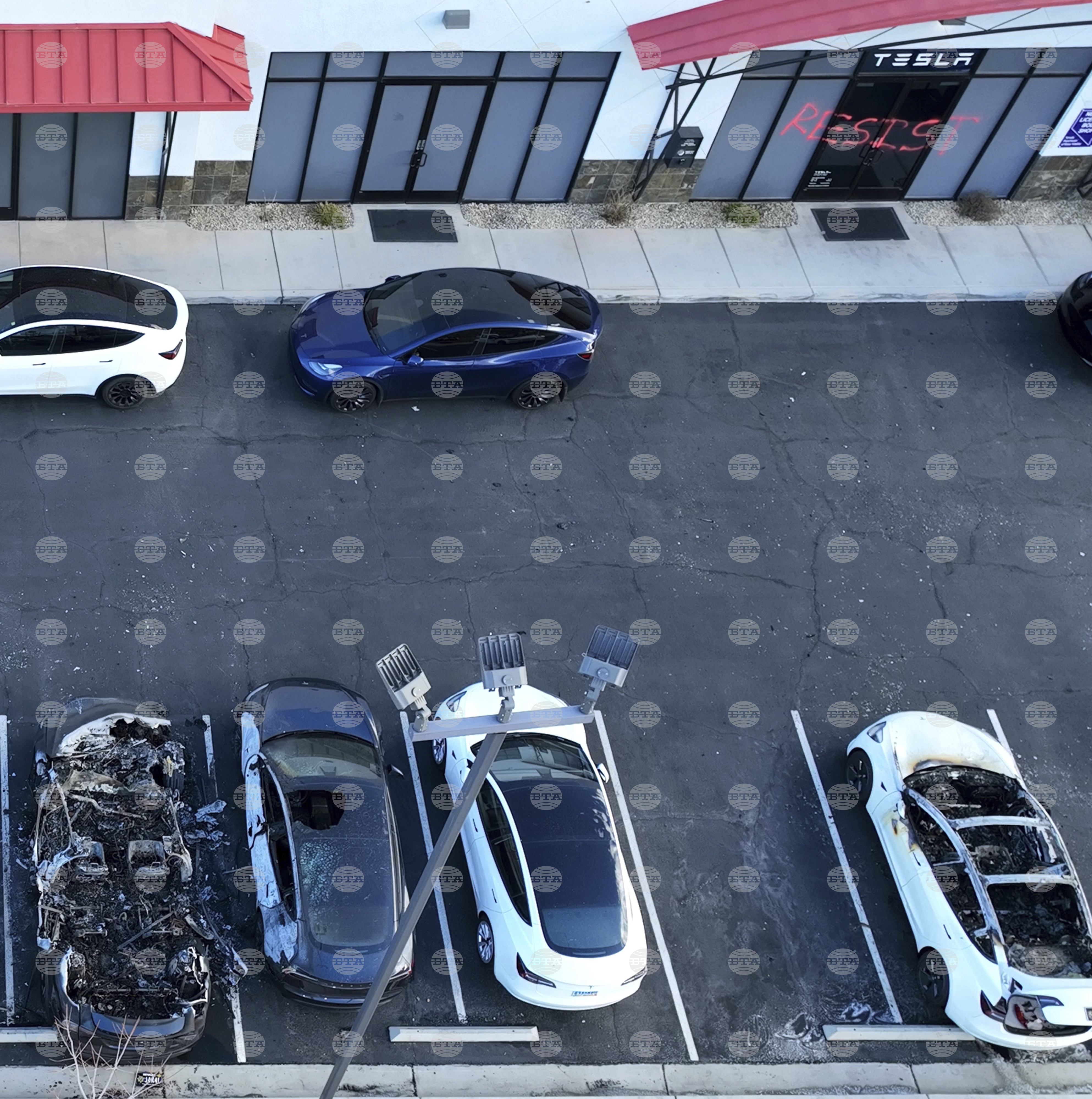 Musk Tesla Vandalism