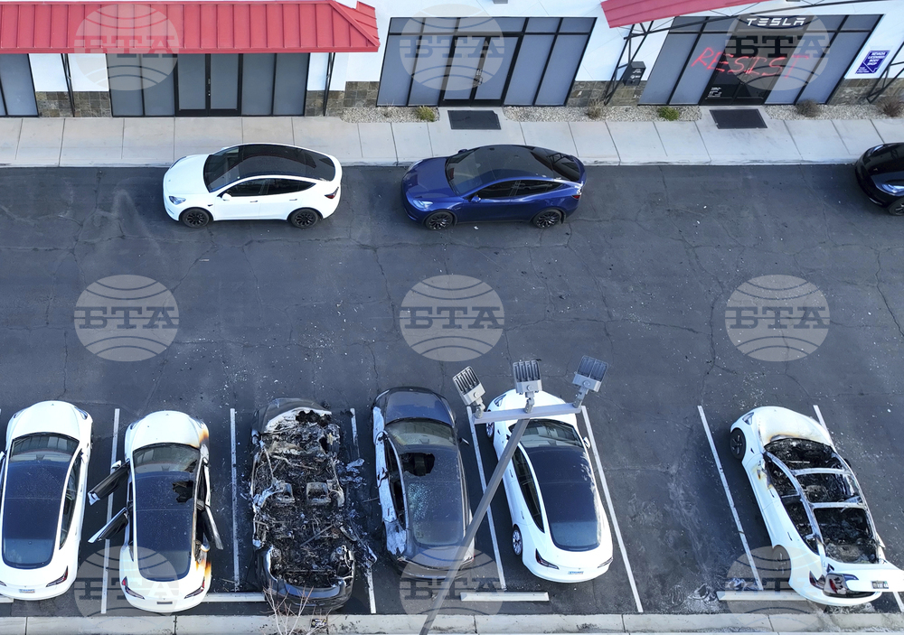 Musk Tesla Vandalism