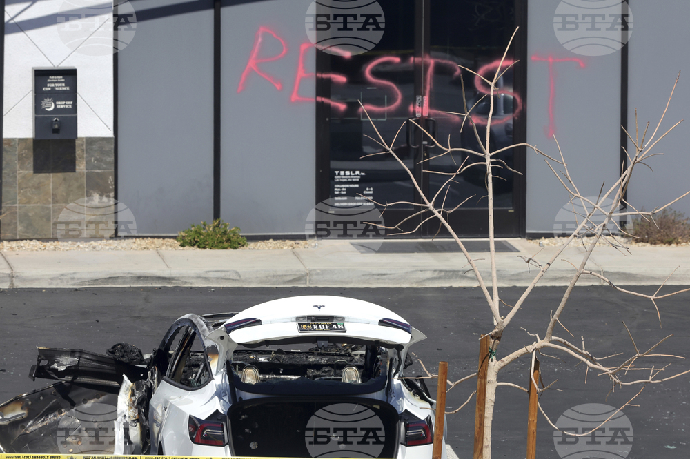 Musk Tesla Vandalism