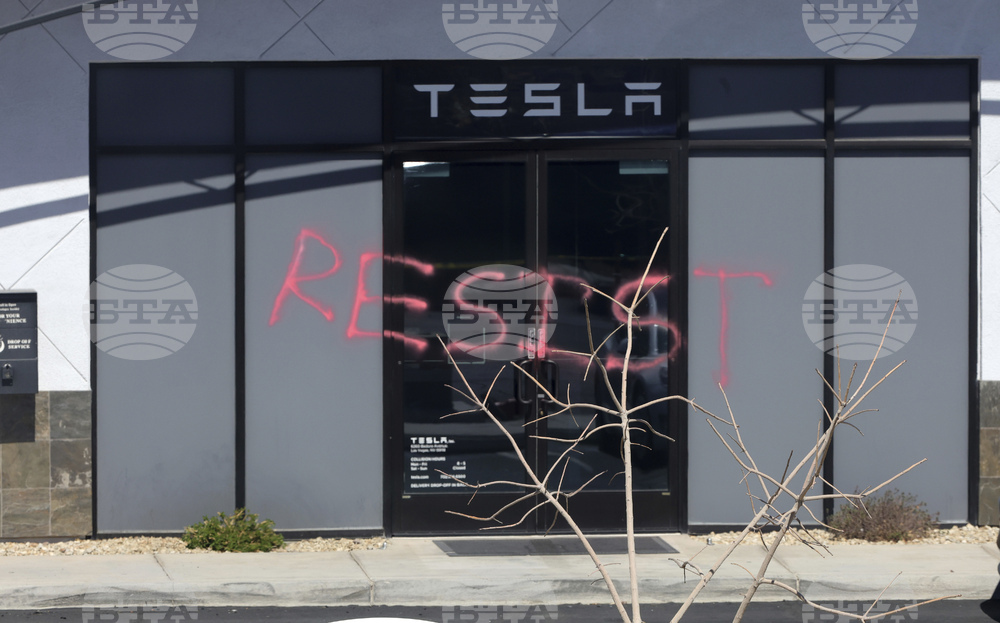 Musk Tesla Vandalism
