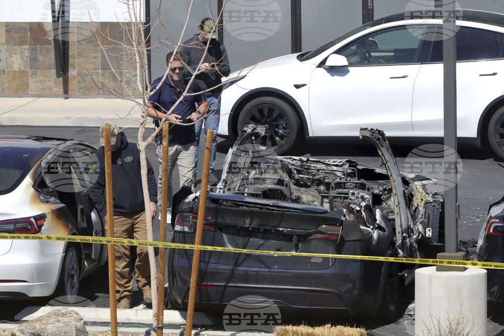 Musk Tesla Vandalism