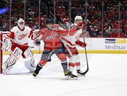 Red Wings Capitals Hockey