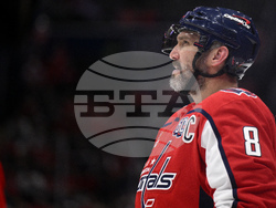 Red Wings Capitals Hockey