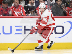 Red Wings Capitals Hockey