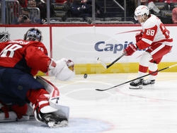 Red Wings Capitals Hockey