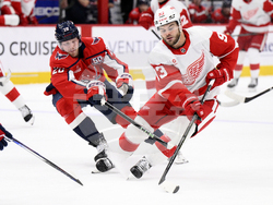 Red Wings Capitals Hockey