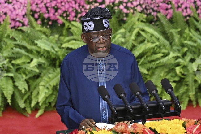 НАН: Президентът на Нигерия пристигна в Абу Даби