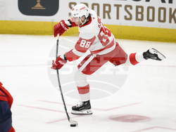 Red Wings Capitals Hockey