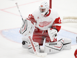 Red Wings Capitals Hockey